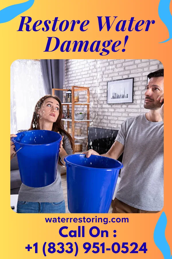 water restoration Citywide Drying Services Walker