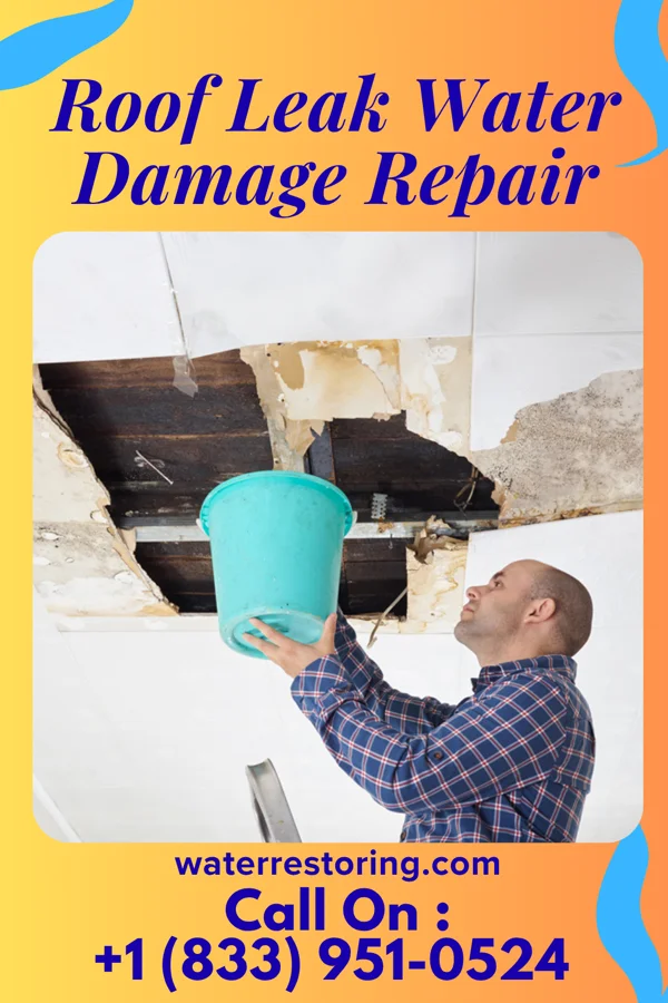 Roof Leak Water Damage Repair in Walker, MI